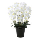 胡蝶蘭 光触媒 観葉植物 フラワー コチョウラン ホワイト 白 造花 枯れない 消臭 母の日 ホルムアルデヒド分解 フェイクフラワー クイーン胡蝶蘭5本立W 敬...