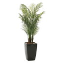 光触媒 フェイクグリーン 枯れない 観葉植物 消臭 抗菌 人工観葉植物 高さ170cm イミテーション 母の日 グリーン 記念日 ナチュラル ホルムアルデヒド分...