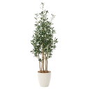 光触媒 フェイクグリーン 枯れない 観葉植物 消臭 抗菌 人工観葉植物 高さ160cm 大型 インテリアグリーン イミテーション 母の日 玄関 ナチュラル フェ...