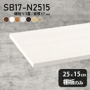 棚板 化粧合板 棚板のみ 幅25cm 奥行き15cm DIY 棚 おしゃれ シンプル 収納棚 板厚17mm 北欧 クローゼット棚 木製 天板にも 壁面棚 日本製 インテリア SB17-N2515 木目 ★(3)