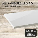 棚板 ホワイト メラミン樹脂化粧合板 棚板のみ 幅60cm 奥行き12cm 日本製 鏡面 おしゃれ 高級感 シンプル DIY 板厚17mm クローゼット棚 ラグジュアリー 木製 壁面棚 プレミアム 天板にも インテリア 北欧 SB17-N6012 nail ★(3)