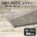 棚板 メラミン樹脂化粧合板 棚板のみ 幅60cm 奥行き12cm おしゃれ シンプル 高級感 DIY 板厚17mm ラグジュアリー 木製 プレミアム 北欧 日本製 天板にも クローゼット棚 壁面棚 インテリア SB17-N6012 GS ★(3)