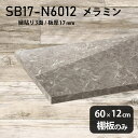 棚板 メラミン樹脂化粧合板 棚板のみ 幅60cm 奥行き12cm おしゃれ シンプル 高級感 DIY 板厚17mm ラグジュアリー 木製 プレミアム 北欧 日本製 天板にも クローゼット棚 壁面棚 インテリア SB17-N6012 GS ★