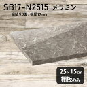 棚板 メラミン樹脂化粧合板 棚板のみ 幅25cm 奥行き15cm おしゃれ 高級感 シンプル DIY 板厚17mm 壁面棚 クローゼット棚 ラグジュアリー 木製 天板にも 北欧 プレミアム 日本製 インテリア SB17-N2515 GS ★