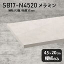 棚板 メラミン樹脂化粧合板 棚板のみ 幅45cm 奥行き20cm 日本製 DIY 棚 おしゃれ 大理石風 ホワイト 高級感 シンプル 板厚17mm クローゼット棚 ラグジュアリー 木製 壁面棚 プレミアム 天板にも インテリア 北欧 SB17-N4520 MB ★(3)