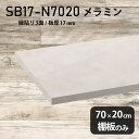 棚板 メラミン樹脂化粧合板 棚板のみ 幅70cm 奥行き20cm シンプル 高級感 DIY 棚 おしゃれ 板厚17mm 日本製 壁面棚 天板にも インテリア プレミアム ラグジュアリー クローゼット棚 北欧 木製 SB17-N7020 MB ★(3)