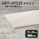 棚板 白 メラミン樹脂化粧合板 棚板のみ 幅75cm 奥行き20cm DIY 棚 おしゃれ 高級感 シンプル 板厚17mm クローゼット棚 ラグジュアリー 木製 壁面棚 プレミアム 天板にも インテリア 日本製 北欧 SB17-N7520 WW ★