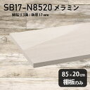 棚板 ホワイト メラミン樹脂化粧合板 棚板のみ 幅85cm 奥行き20cm DIY 棚 おしゃれ 高級感 シンプル 板厚17mm クローゼット棚 ラグジュアリー 木製 壁面棚 プレミアム 天板にも インテリア 日本製 北欧 SB17-N8520 WW