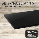 棚板 メラミン樹脂化粧合板 棚板のみ 幅60cm 奥行き25cm DIY 棚 おしゃれ 高級感 シンプル 板厚17mm クローゼット棚 ラグジュアリー 木製 壁面棚 プレミアム 天板にも インテリア 日本製 北欧 SB17-N6025 black ★(3)