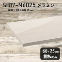 棚板 メラミン樹脂化粧合板 棚板のみ 幅60cm 奥行き25cm おしゃれ 高級感 シンプル DIY 板厚17mm 木目 鏡面 ホワイト クローゼット棚 ラグジュアリー 木製 壁面棚 プレミアム 天板にも インテリア 日本製 北欧 SB17-N6025 WW ★(3)