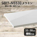 棚板 メラミン樹脂化粧合板 棚板のみ 幅55cm 奥行き30cm おしゃれ 高級感 シンプル DIY 板厚17mm クローゼット棚 ラグジュアリー 木製 壁面棚 プレミアム 天板にも インテリア 日本製 北欧 SB17-N5530 nail ★(3)