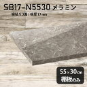 棚板 メラミン樹脂化粧合板 棚板のみ 幅55cm 奥行き30cm シンプル 高級感 おしゃれ DIY 棚 板厚17mm 日本製 壁面棚 天板にも インテリア プ...