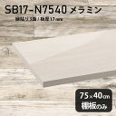 棚板 ホワイト メラミン樹脂化粧合板 棚板のみ 幅75cm 奥行き40cm DIY 棚 おしゃれ 高級感 シンプル 板厚17mm クローゼット棚 ラグジュアリー 木製 壁面棚 プレミアム 天板にも インテリア 日本製 北欧 SB17-N7540 WW ★