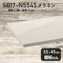 棚板 メラミン樹脂化粧合板 棚板のみ 幅55cm 奥行き45cm DIY 棚 おしゃれ 高級感 シンプル 板厚17mm クローゼット棚 ラグジュアリー 木製 壁面棚 プレミアム 天板にも インテリア 日本製 北欧 SB17-N5545 WW ★(3)