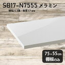 棚板 ホワイト メラミン樹脂化粧合板 棚板のみ 幅75cm 奥行き55cm おしゃれ 高級感 シンプル DIY 板厚17mm クローゼット棚 木製 壁面棚 日本製 北欧 ラグジュアリー インテリア プレミアム 天板にも SB17-N7555 nail ★