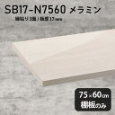 棚板 メラミン樹脂化粧合板 棚板のみ 幅75cm 奥行き60cm おしゃれ 高級感 シンプル DIY 板厚17mm クローゼット棚 ラグジュアリー 鏡面 ホワイト 木製 壁面棚 プレミアム 天板にも インテリア 日本製 北欧 SB17-N7560 WW ★