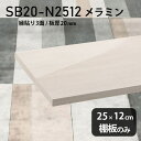 棚板 メラミン樹脂化粧合板 棚板のみ 幅25cm 奥行き12cm おしゃれ 高級感 シンプル DIY 棚 スリム 板厚20mm 木製 インテリア 北欧 プレミアム 日本製 天板にも クローゼット棚 ラグジュアリー 壁面棚 SB20-N2512 WW ★(3)