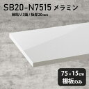 棚板 メラミン樹脂化粧合板 棚板のみ 幅75cm 奥行き15cm おしゃれ 高級感 シンプル DIY 板厚20mm クローゼット棚 ラグジュアリー 木製 壁面棚 プレミアム 天板にも インテリア 日本製 北欧 SB20-N7515 nail ★