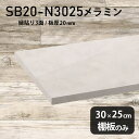 棚板 メラミン樹脂化粧合板 棚板のみ 幅30cm 奥行き25cm 日本製 おしゃれ 高級感 シンプル DIY 板厚20mm クローゼット棚 ラグジュアリー 木製...