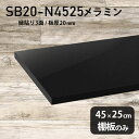 棚板 メラミン樹脂化粧合板 棚板のみ 幅45cm 奥行き25cm おしゃれ 高級感 シンプル DIY 板厚20mm クローゼット棚 ラグジュアリー 木製 壁面棚 プレミアム 天板にも インテリア 日本製 北欧 SB20-N4525 black ★(3)