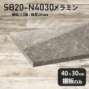 棚板 メラミン樹脂化粧合板 棚板のみ 幅40cm 奥行き30cm おしゃれ 高級感 シンプル DIY 板厚20mm クローゼット棚 ラグジュアリー 木製 壁面棚 プレミアム 天板にも インテリア 日本製 北欧 SB20-N4030 GS