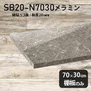 棚板 メラミン樹脂化粧合板 棚板のみ 幅70cm 奥行き30cm 日本製 大理石風 DIY 棚 おしゃれ 高級感 シンプル 板厚20mm クローゼット棚 ラグジュアリー 木製 壁面棚 プレミアム 天板にも インテリア 北欧 SB20-N7030 GS ★(3)