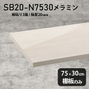 棚板 メラミン樹脂化粧合板 棚板のみ 幅75cm 奥行き30cm DIY 棚 おしゃれ 高級感 シンプル 板厚20mm クローゼット棚 ラグジュアリー 木製 壁面棚 プレミアム 天板にも インテリア 日本製 北欧 SB20-N7530 WW