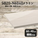 棚板 ホワイト メラミン樹脂化粧合板 棚板のみ 幅60cm 奥行き40cm DIY 棚 おしゃれ 高級感 シンプル 板厚20mm クローゼット棚 ラグジュアリー 木製 壁面棚 プレミアム 天板にも インテリア 日本製 北欧 SB20-N6040 WW ★(3)
