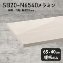 I zCg ~ύ I̂ 65cm s40cm DIY I   Vv 20mm N[[bgI OWA[ ؐ ǖʒI v~A Vɂ CeA { k SB20-N6540 WW 