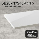 棚板 メラミン樹脂化粧合板 棚板のみ 幅75cm 奥行き45cm おしゃれ 高級感 シンプル DIY 棚 板厚20mm 木製 天板にも プレミアム インテリア 壁面棚 北欧 クローゼット棚 ラグジュアリー 日本製 SB20-N7545 nail ★(3)