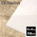 V V̂   ~ ~ϔ ݑ 45cm DIY ` [g e[u l炵 Z^[e[u  { CT-SQ4545 MB 