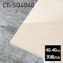 天板 天板のみ 板だけ 机 メラミン 鏡面 在宅 40cm DIY 正方形 リモート テーブル 小さい机 一人暮らし センターテーブル 高級感 日本製 CT-SQ4040 WW □|詳細画像