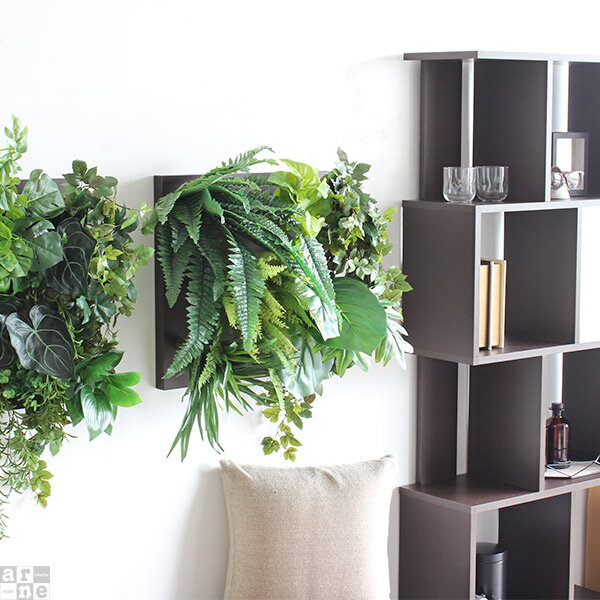 ��������ѥͥ� ������ �ý� �ե��������꡼�� �ɳݤ� ����ƥꥢ �� �ꥢ�� �������� �ץ쥼��� ���� �ѥͥ� �������륰�꡼�� ���տ�ʪ �������� �ե����� ������� ���� ¤�� �ɤ������꡼�� �����ȥѥͥ� �ǥ����ץ쥤 ���꡼�󥤥�ƥꥢ �̲� Botanical a-11 ��