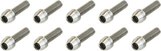 ADEPT ���ǥץ� AS5 ���ƥ�쥹 �ܥ�� ���å� M5x18mm BOS00401 �ܥ��