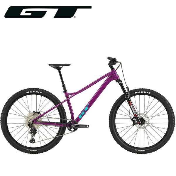 GT ZASKAR LT PRO ザスカー LT アロイ プロ 29インチ ラズベリー マウンテンバイク