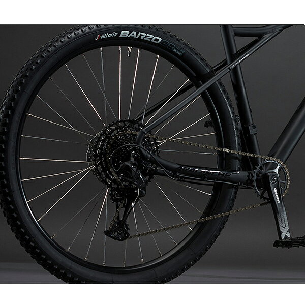 アトミックサイクルのGT マウンテンバイク AVALANCHE EXPERT V2 29 （アバランチェ エキスパート V2） パープル MTB 29インチ マウンテンバイク 自転車 送料無料｜アングル3