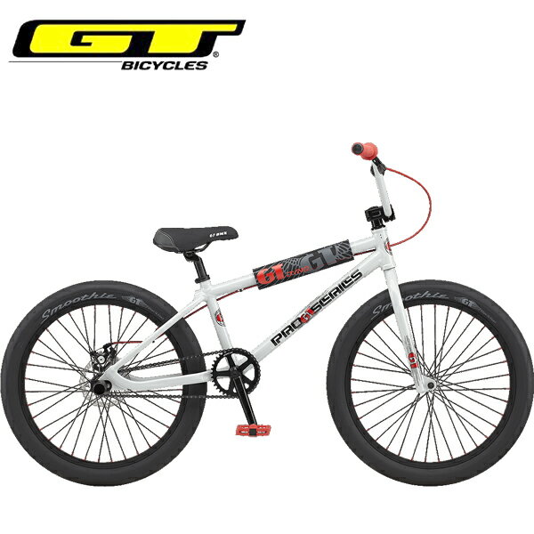 GT BMX PRO SERIES 24 HERITAGE プロシリーズ 24 ヘリテージ グレー