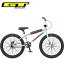 GT BMX PRO SERIES 24 HERITAGE プロシリーズ 24 ヘリテージ グレー