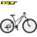 GT GT キッズ 子供 自転車 ストンパー プライム 24 STOMPER PRIME 24 V2 シルバー 24インチ