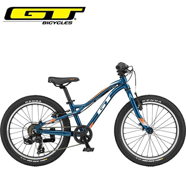 GT 【SALE】GT キッズ 子供 自転車 ストンパー エース 20 GT STOMPER ACE 20 V2 ディープティール 20インチ