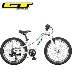 GT GT キッズ 子供 自転車 ストンパー エース 20 GT STOMPER ACE 20 V2 ホワイト 20インチ