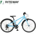 RITEWAY (ライトウェイ) ZIT 22 (ジット 22) マットスカイブルー 22インチ 子供 自転車