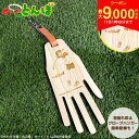 【11日1時59分まで!最大9,000円引きクーポン!】【送料無料】オーイ!とんぼ 国産ひのき使用 『かわーく』 グローブハンガー 型崩れ防止・抗菌・脱臭・調湿