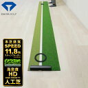 【送料無料】ダイヤ ゴルフ パターグリーン TR-476 パターマット パッティング練習 パター練習 DAIYA