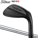 タイトリスト ゴルフ ボーケイデザイン SM9 ジェットブラック ウェッジ BV105 スチールシャフト TITLEIST VOKEY DESIGN スピンミルド