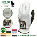 【特注商品】 ジャストフィット オーダーメイド ゴルフグローブ オーダーキット 手袋