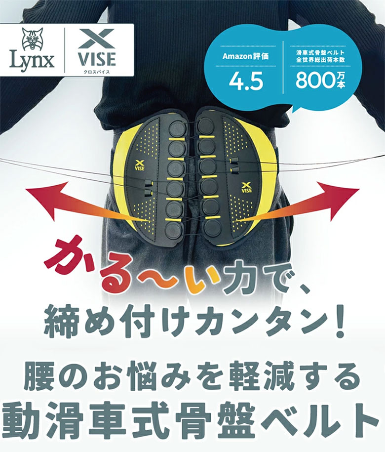 【10日23時59分まで!最大7,000円引きクーポン！】【送料無料】リンクス X-VISE 腰...