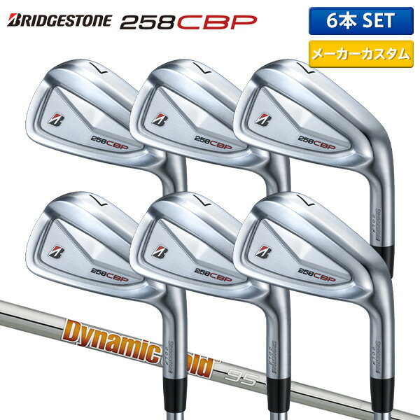 楽天市場】ダイナミック ゴールド 95 装着 アイアン（クラブ｜ゴルフ