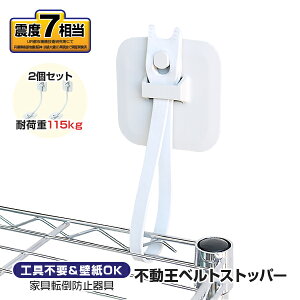 不動王 不二ラテックス 不動王ベルトストッパー FFT-015|家具 家電 オフィス棚 タンス 食器棚 冷蔵庫|地震対策 転倒防止 震度7相当|壁紙 制振式 ゴムベルト固定