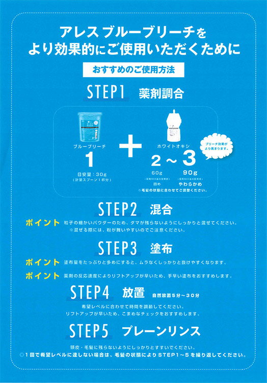 ������̵�����ۥ��쥹���顼 �֥롼�֥꡼�� 500g ���������ʡڥ֥꡼���� �֥꡼�� �֥롼�ѥ������֥꡼�� æ�� æ���� �������� ���������� �ץ��� ���Ƽ� ���Ƽ� ��̳�ѡ�